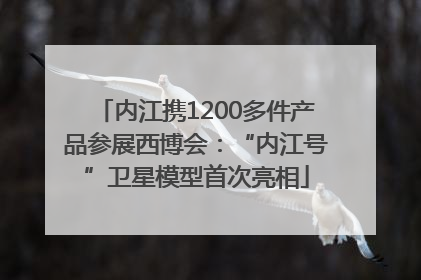 内江携1200多件产品参展西博会：“内江号”卫星模型首次亮相