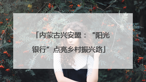 内蒙古兴安盟：“阳光银行”点亮乡村振兴路