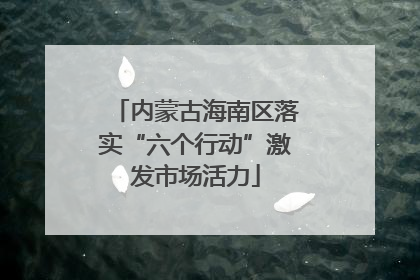 内蒙古海南区落实“六个行动”激发市场活力