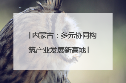 内蒙古：多元协同构筑产业发展新高地