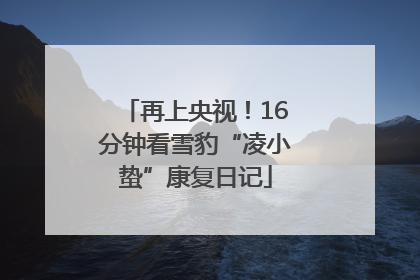 再上央视！16分钟看雪豹“凌小蛰”康复日记