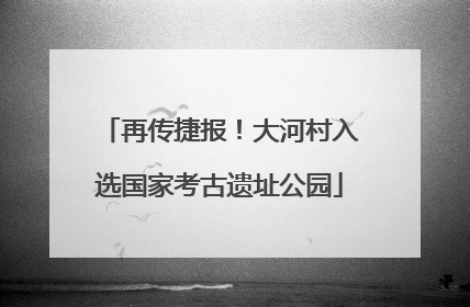 再传捷报！大河村入选国家考古遗址公园