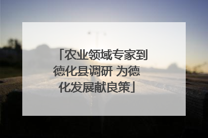农业领域专家到德化县调研 为德化发展献良策