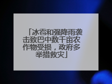 冰雹和强降雨袭击致巴中数千亩农作物受损，政府多举措救灾