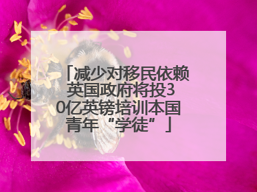 减少对移民依赖 英国政府将投30亿英镑培训本国青年“学徒”