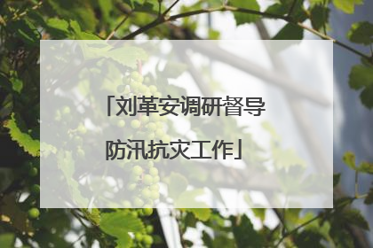 刘革安调研督导防汛抗灾工作