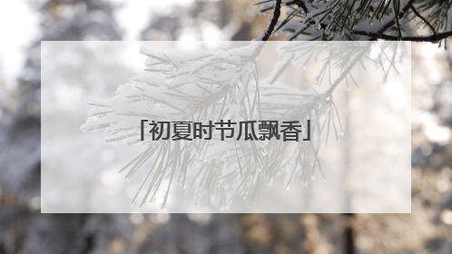 初夏时节瓜飘香