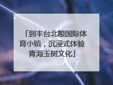到丰台北粮国际体育小镇，沉浸式体验青海玉树文化
