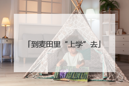 到麦田里“上学”去