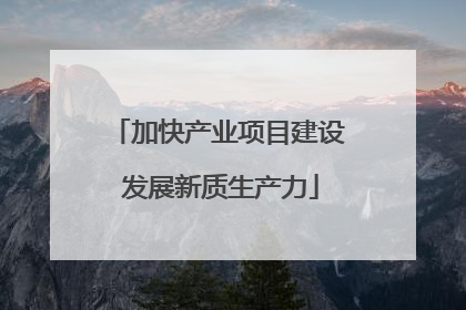 加快产业项目建设 发展新质生产力