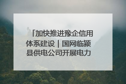加快推进豫企信用体系建设｜国网临颍县供电公司开展电力行业信用企业现场咨询访谈工作