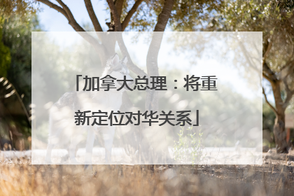 加拿大总理：将重新定位对华关系