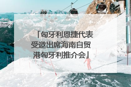 匈牙利恩捷代表受邀出席海南自贸港匈牙利推介会