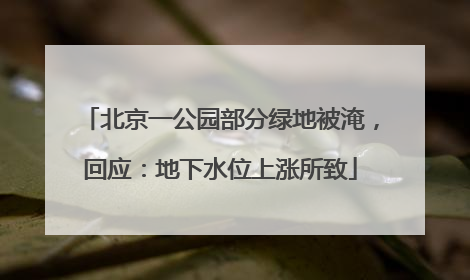 北京一公园部分绿地被淹，回应：地下水位上涨所致