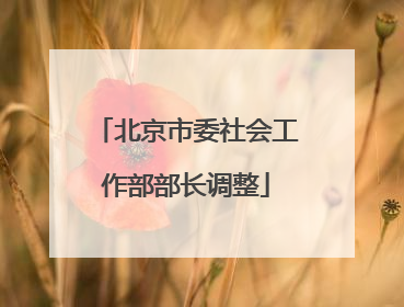 北京市委社会工作部部长调整