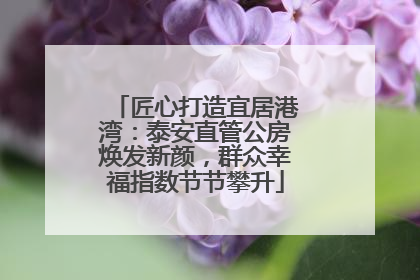 匠心打造宜居港湾：泰安直管公房焕发新颜，群众幸福指数节节攀升