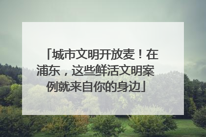 城市文明开放麦！在浦东，这些鲜活文明案例就来自你的身边