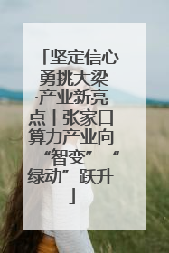 坚定信心 勇挑大梁·产业新亮点丨张家口算力产业向“智变”“绿动”跃升