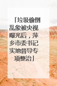 垃圾偷倒乱象被央视曝光后，萍乡市委书记实地督导专项整治