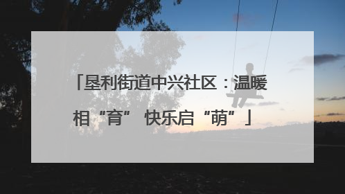 垦利街道中兴社区：温暖相“育” 快乐启“萌”