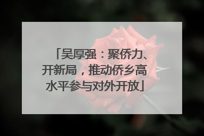 吴厚强：聚侨力、开新局，推动侨乡高水平参与对外开放