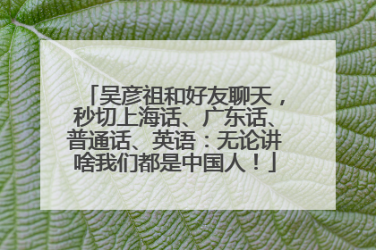吴彦祖和好友聊天，秒切上海话、广东话、普通话、英语：无论讲啥我们都是中国人！
