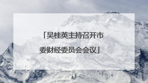 吴桂英主持召开市委财经委员会会议
