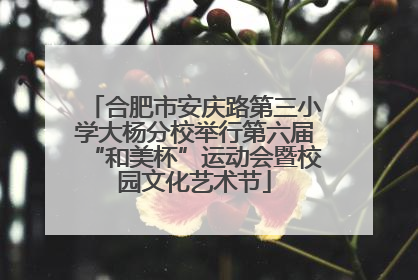 合肥市安庆路第三小学大杨分校举行第六届“和美杯”运动会暨校园文化艺术节