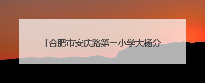 合肥市安庆路第三小学大杨分校：匠心筑梦 护航毕业季