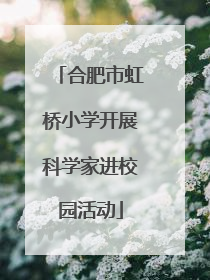 合肥市虹桥小学开展科学家进校园活动