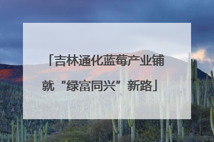 吉林通化蓝莓产业铺就“绿富同兴”新路