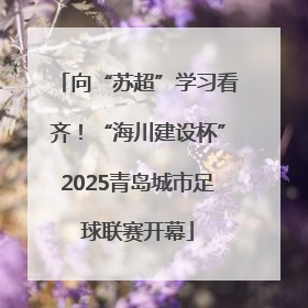 向“苏超”学习看齐！“海川建设杯”2025青岛城市足球联赛开幕