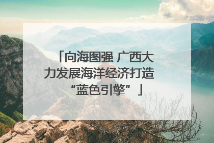 向海图强 广西大力发展海洋经济打造“蓝色引擎”