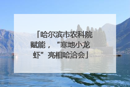 哈尔滨市农科院赋能，“寒地小龙虾”亮相哈洽会