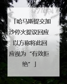 哈马斯提交加沙停火提议回应 以方称将此回应视为“有效拒绝”