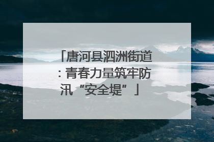 唐河县泗洲街道：青春力量筑牢防汛“安全堤”