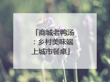 商城老鸭汤：乡村美味端上城市餐桌