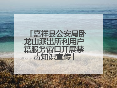 嘉祥县公安局卧龙山派出所利用户籍服务窗口开展禁毒知识宣传