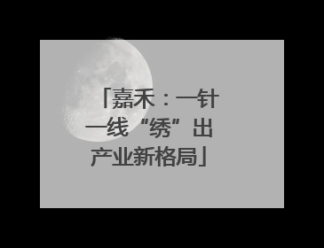 嘉禾：一针一线“绣”出产业新格局