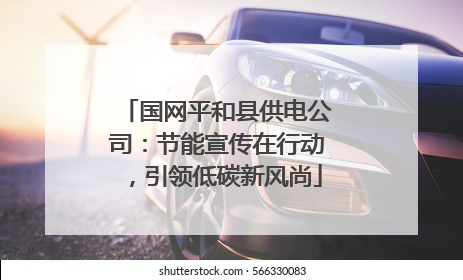国网平和县供电公司：节能宣传在行动，引领低碳新风尚