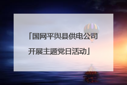 国网平舆县供电公司开展主题党日活动