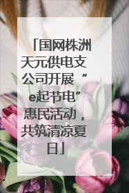 国网株洲天元供电支公司开展“e起节电”惠民活动，共筑清凉夏日