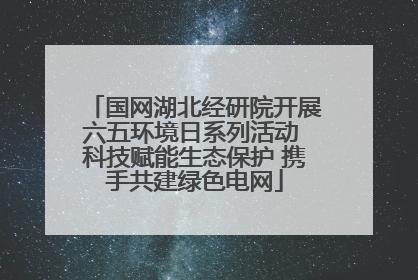 国网湖北经研院开展六五环境日系列活动 科技赋能生态保护 携手共建绿色电网