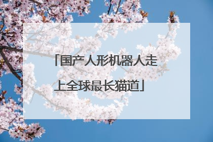 国产人形机器人走上全球最长猫道