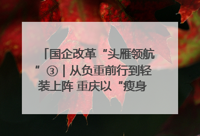 国企改革“头雁领航”③｜从负重前行到轻装上阵 重庆以“瘦身”谋“健体”