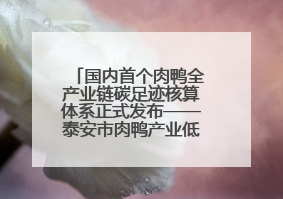 国内首个肉鸭全产业链碳足迹核算体系正式发布——泰安市肉鸭产业低碳发展标准示范项目顺利通过验收