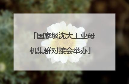 国家级沈大工业母机集群对接会举办
