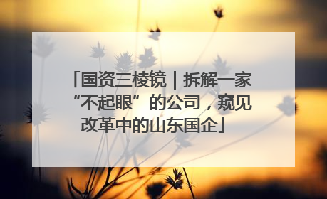 国资三棱镜｜拆解一家“不起眼”的公司，窥见改革中的山东国企