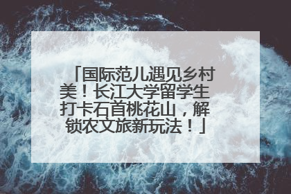 国际范儿遇见乡村美！长江大学留学生打卡石首桃花山，解锁农文旅新玩法！