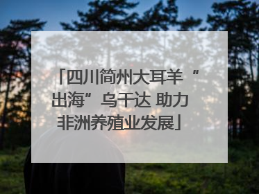 四川简州大耳羊“出海”乌干达 助力非洲养殖业发展